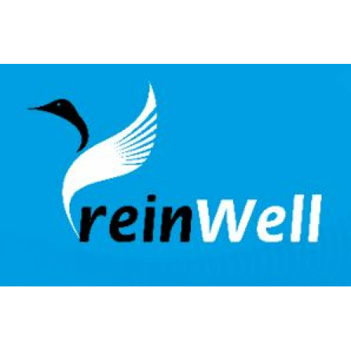 11861 ReinWell Моторное масло ADVANS 8600 0W-30 (1л) - 1 л 11861 ReinWell Моторное масло ADVANS 8600 0W-30 (1л) - 1 л